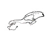 WIRING CHASSIS - image 1