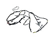 WIRING CHASSIS - image 1