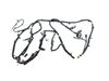 WIRING CHASSIS - image 3