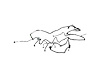 WIRING CHASSIS - image 1