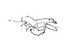 WIRING CHASSIS - image 3
