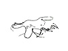 WIRING CHASSIS - image 1