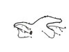 WIRING FRONT FASCIA - image 3