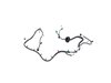 WIRING REAR FASCIA - image 2
