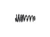 SPRING REAR COIL - image 3