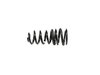 SPRING REAR COIL - image 2