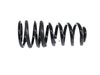 SPRING REAR COIL - image 2