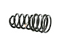 SPRING REAR COIL - image 1