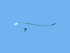 SENSOR EVAPORATOR PROBE - image 3