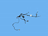 WIRING SLIDING DOOR LEFT - image 1