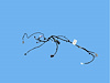 WIRING SLIDING DOOR RIGHT - image 1