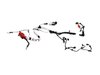 WIRING TRANSMISSION - image 3