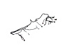 WIRING FRONT END MODULE - image 1