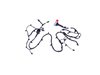 WIRING REAR FASCIA - image 3