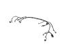 WIRING UNDERBODY - image 1