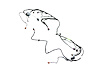 WIRING FRONT END MODULE - image 1