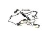 WIRING BODY - image 1