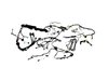 WIRING BODY - image 4