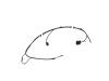 WIRING HARDTOP - image 1