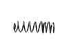 SPRING REAR COIL - image 2