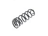 SPRING REAR COIL - image 3