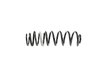 SPRING REAR COIL - image 3