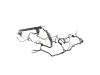 WIRING BODY RIGHT - image 1