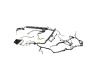 WIRING BODY RIGHT - image 1