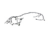 WIRING FRONT END MODULE - image 1