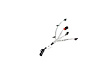 WIRING JUMPER - image 1