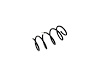 SPRING FRONT COIL - image 1
