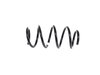 SPRING FRONT COIL - image 2