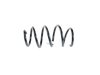 SPRING FRONT COIL - image 2