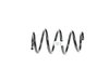 SPRING FRONT COIL - image 3