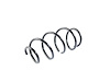 SPRING FRONT COIL - image 1