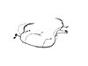 WIRING FRONT END MODULE - image 2