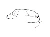 WIRING FRONT END MODULE - image 1