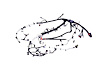WIRING ENGINE - image 1