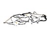 WIRING BODY - image 2