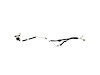 LINE A/C LIQUID - image 1
