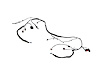 WIRING FRONT END MODULE - image 1