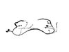 WIRING FRONT END MODULE - image 2