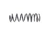 SPRING REAR COIL - image 2