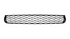 GRILLE LOWER - image 1