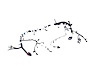 WIRING ENGINE - image 1