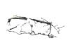 WIRING BODY RIGHT - image 1