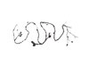 WIRING LIFTGATE - image 4