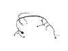 WIRING UNDERBODY - image 3