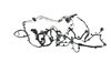 WIRING CHASSIS - image 3