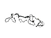 WIRING CHASSIS - image 1